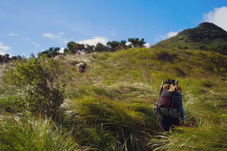 Tarak Ridge Over the Years